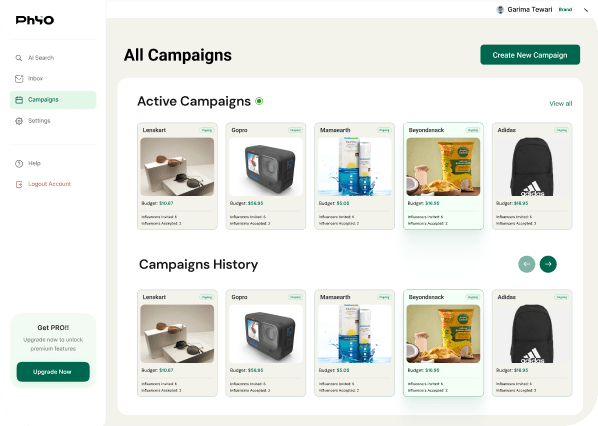 Campaign management interface